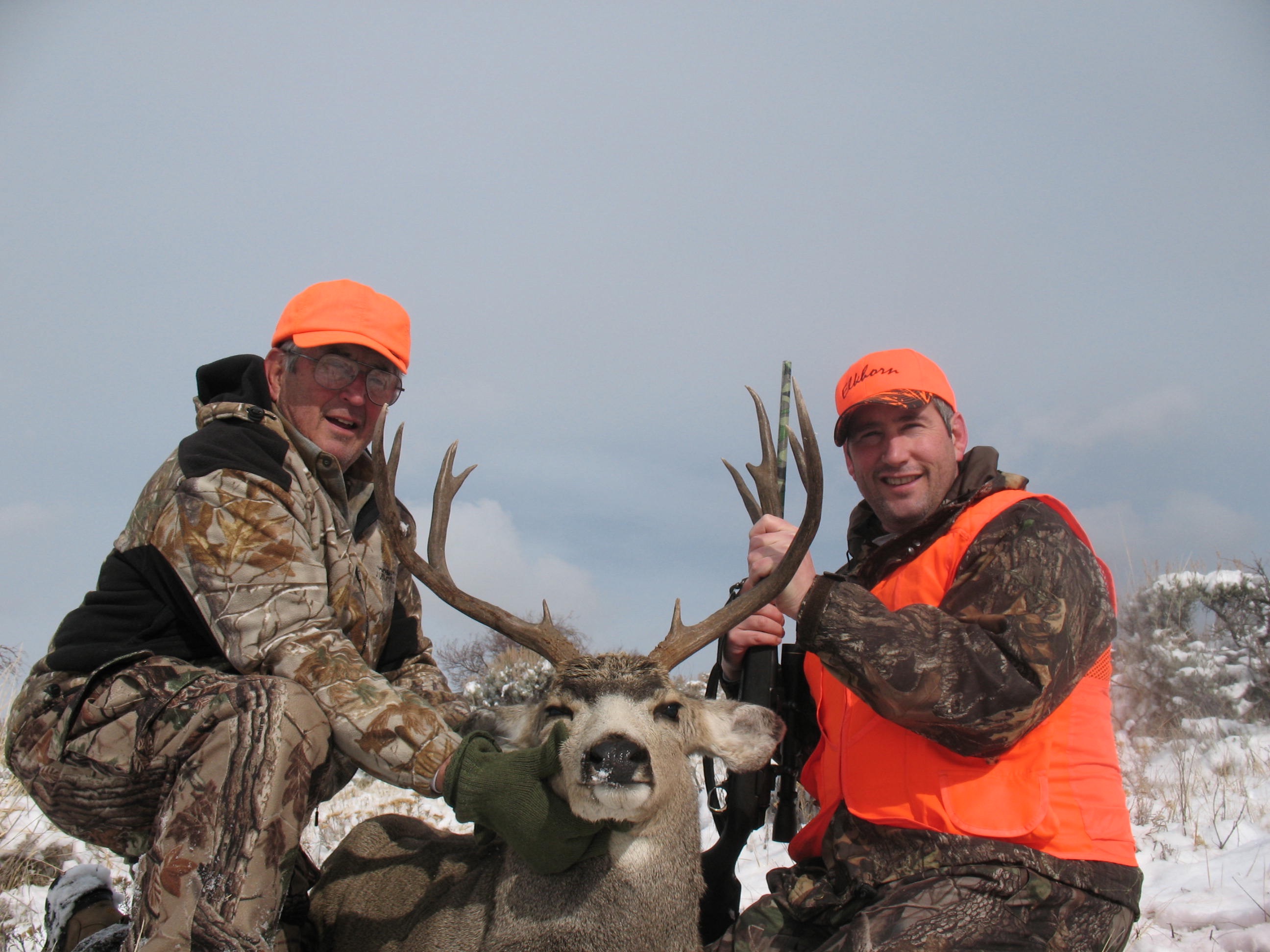 Colorado Deer